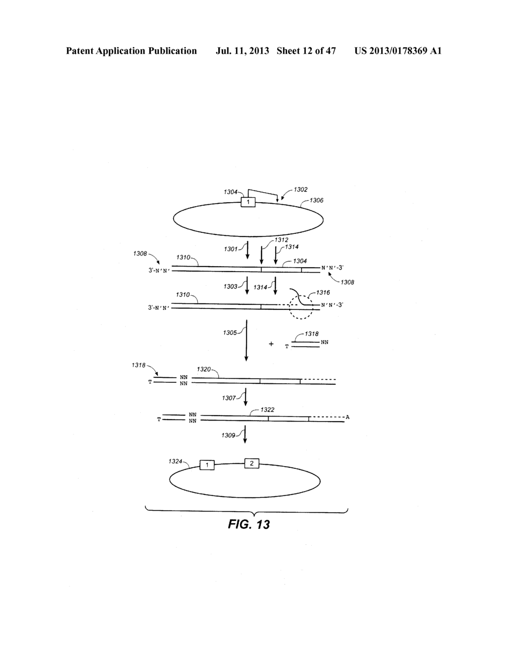 TREATMENT FOR STABILIZING NUCLEIC ACID ARRAYS - diagram, schematic, and image 13