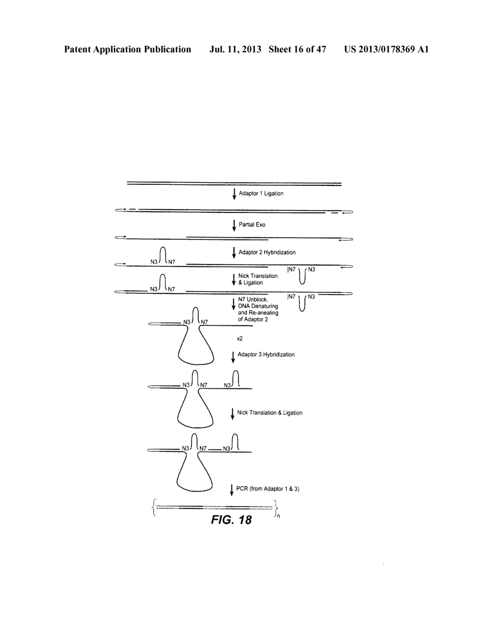 TREATMENT FOR STABILIZING NUCLEIC ACID ARRAYS - diagram, schematic, and image 17