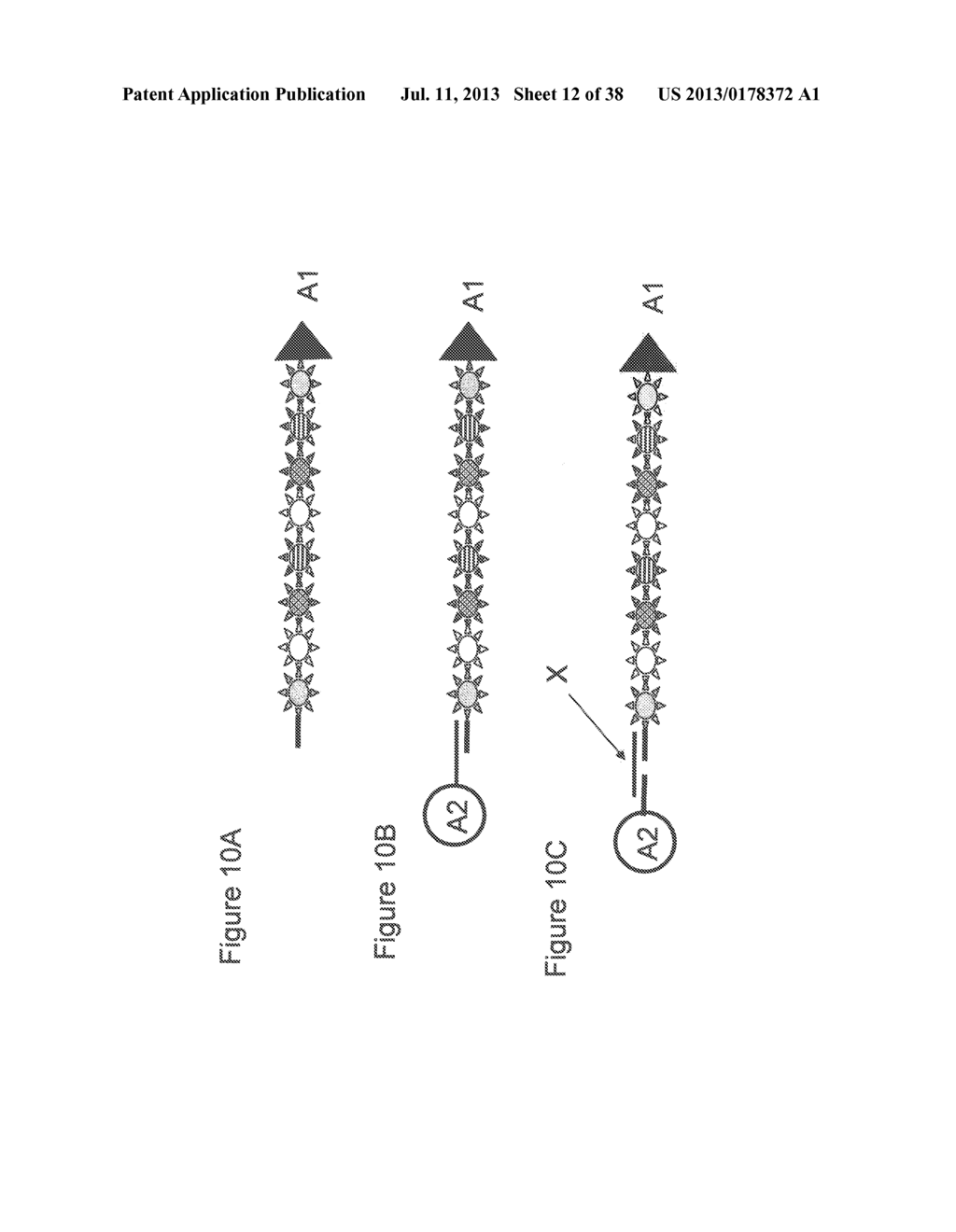 Methods And Computer Systems For Identifying Target-Specific Sequences For     Use In Nanoreporters - diagram, schematic, and image 13