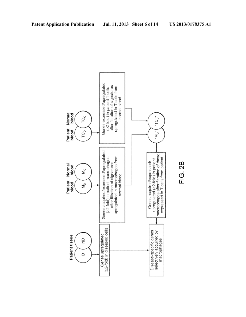 Methods of Detecting Neurological or Neuropsychiatric Diseases or     Conditions - diagram, schematic, and image 07