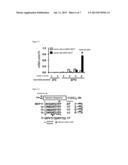 METHOD FOR CONSTRUCTING LIBRARIES OF NON-STANDARD PEPTIDE COMPOUNDS     COMPRISING N-METHYL AMINO ACIDS AND OTHER SPECIAL (NON-STANDARD) AMINO     ACIDS AND METHOD FOR SEARCHING AND IDENTIFYING ACTIVE SPECIES diagram and image