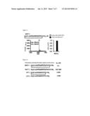 METHOD FOR CONSTRUCTING LIBRARIES OF NON-STANDARD PEPTIDE COMPOUNDS     COMPRISING N-METHYL AMINO ACIDS AND OTHER SPECIAL (NON-STANDARD) AMINO     ACIDS AND METHOD FOR SEARCHING AND IDENTIFYING ACTIVE SPECIES diagram and image