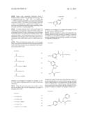 METHOD FOR CONSTRUCTING LIBRARIES OF NON-STANDARD PEPTIDE COMPOUNDS     COMPRISING N-METHYL AMINO ACIDS AND OTHER SPECIAL (NON-STANDARD) AMINO     ACIDS AND METHOD FOR SEARCHING AND IDENTIFYING ACTIVE SPECIES diagram and image