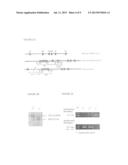 METHODS FOR MODULATING SLOW MYOSIN diagram and image