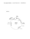 THERAPEUTIC AGENTS COMPRISING ELASTIC PEPTIDES diagram and image