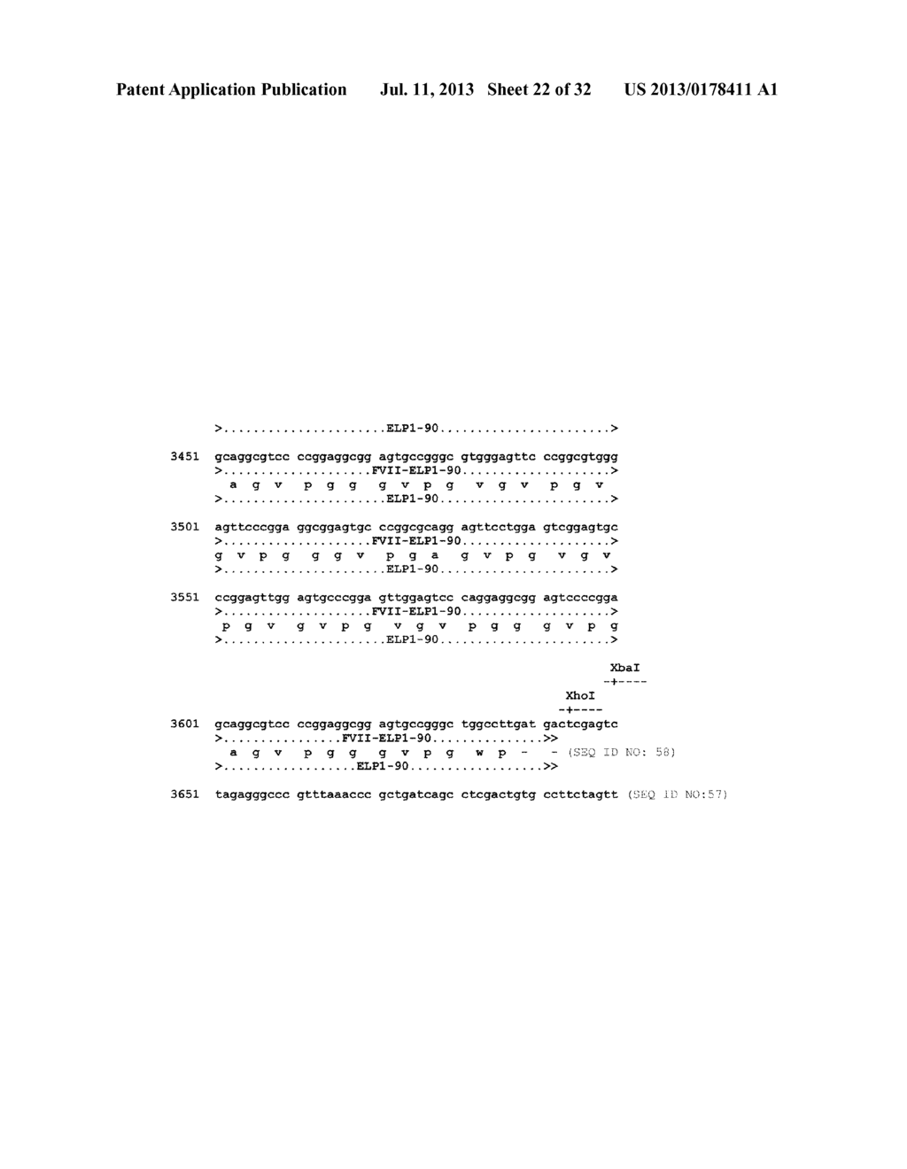 THERAPEUTIC AGENTS COMPRISING ELASTIC PEPTIDES - diagram, schematic, and image 23