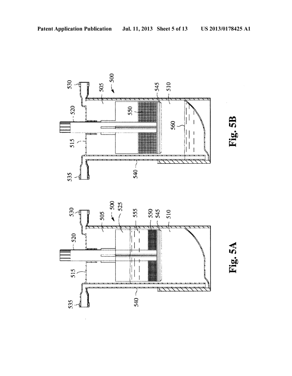 METHODS AND COMPOSITIONS FOR DELIVERING INTERLEUKIN-1 RECEPTOR ANTAGONIST - diagram, schematic, and image 06