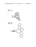 THERAPEUTIC AGENT FOR PULMONARY EMPHYSEMA diagram and image