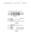 MACROCYCLIC KINASE INHIBITORS AND USES THEREOF diagram and image