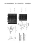 MACROCYCLIC KINASE INHIBITORS AND USES THEREOF diagram and image