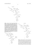 ANTIBACTERIAL AMINOGLYCOSIDE ANALOGS diagram and image