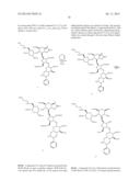 ANTIBACTERIAL AMINOGLYCOSIDE ANALOGS diagram and image