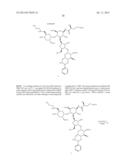 ANTIBACTERIAL AMINOGLYCOSIDE ANALOGS diagram and image