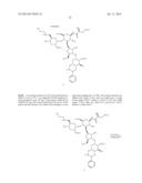 ANTIBACTERIAL AMINOGLYCOSIDE ANALOGS diagram and image