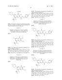 NOVEL ANTIVIRAL AGENTS diagram and image