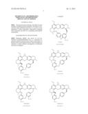 HETEROCYCLIC AMINOBERBAMINE DERIVATIVES, THE PREPARATION PROCESS AND USE     THEREOF diagram and image