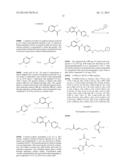 HETEROCYCLIC AMINOBERBAMINE DERIVATIVES, THE PREPARATION PROCESS AND USE     THEREOF diagram and image