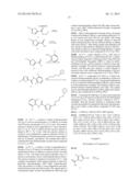 HETEROCYCLIC AMINOBERBAMINE DERIVATIVES, THE PREPARATION PROCESS AND USE     THEREOF diagram and image