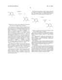 HETEROCYCLIC AMINOBERBAMINE DERIVATIVES, THE PREPARATION PROCESS AND USE     THEREOF diagram and image