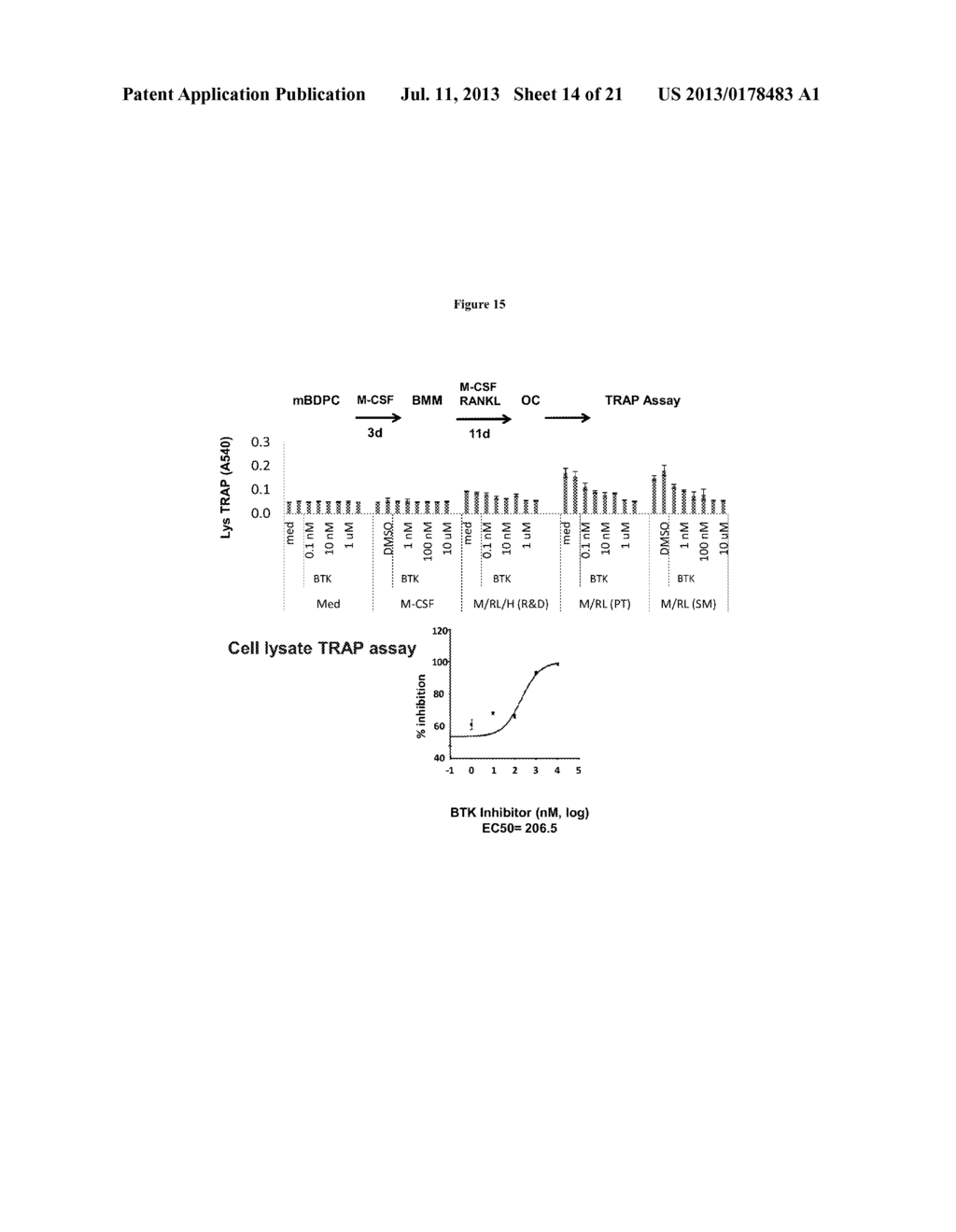 Methods and Compositions for Inhibition of Bone Resorption - diagram, schematic, and image 15