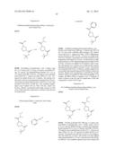 3-(PHENOXYPHENYLMETHYL)PYRROLIDINE COMPOUNDS diagram and image