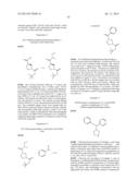 3-(PHENOXYPHENYLMETHYL)PYRROLIDINE COMPOUNDS diagram and image