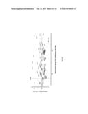 CONNECTIVE TISSUE GROWTH FACTOR ANTISENSE OLIGONUCLEOTIDES diagram and image