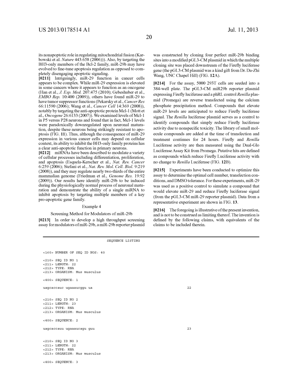 Use of miR-29 for Cell protection - diagram, schematic, and image 34