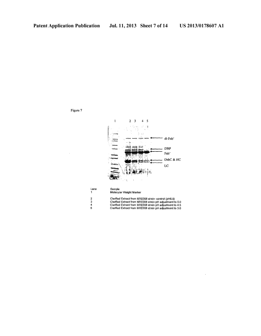 PROCESS FOR PURIFYING PROTEINS - diagram, schematic, and image 08