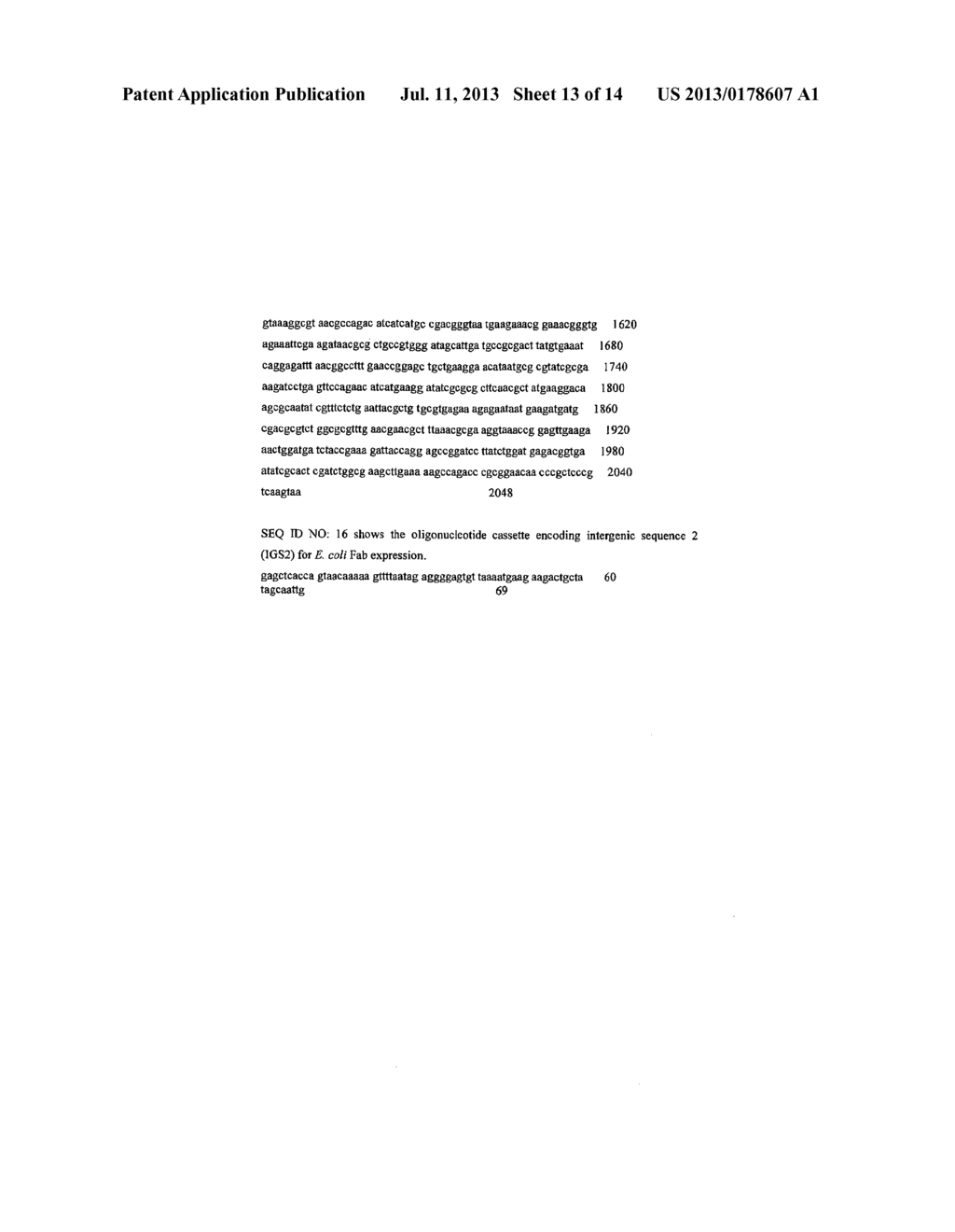 PROCESS FOR PURIFYING PROTEINS - diagram, schematic, and image 14