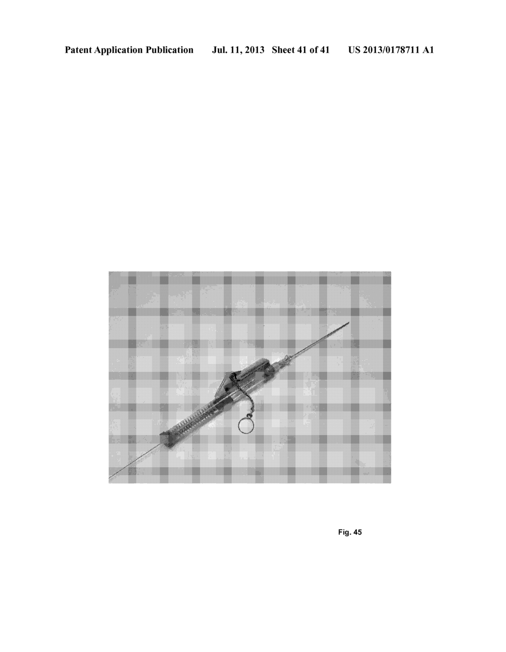 DEVICES AND METHODS FOR ENDOVASCULAR ACCESS AND THERAPY - diagram, schematic, and image 42