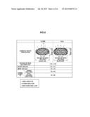 PARALLEL FOAMED COAXIAL CABLE diagram and image