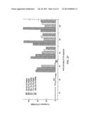 NANOPOROUS MATERIALS, MANUFACTURE OF NANOPOROUS MATERIALS AND APPLICATIONS     OF NANOPOROUS MATERIALS diagram and image