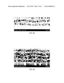 NANOPOROUS MATERIALS, MANUFACTURE OF NANOPOROUS MATERIALS AND APPLICATIONS     OF NANOPOROUS MATERIALS diagram and image