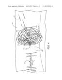 ORBIT DEBRIS REMOVAL AND ASSET PROTECTION ASSEMBLY diagram and image