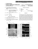 USER INTERFACE FOR EFFICIENTLY DISPLAYING RELEVANT OCT IMAGING DATA diagram and image