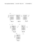 PROGRAMMABLE METALLIZATION CELL WITH TWO DIELECTRIC LAYERS diagram and image