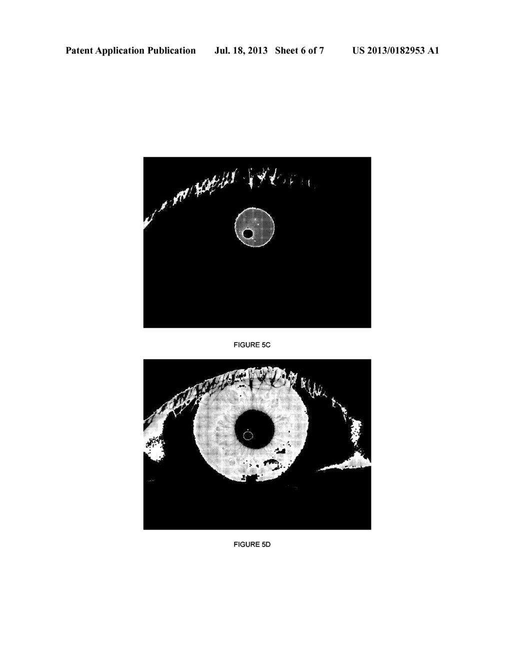 IRIS DATA EXTRACTION - diagram, schematic, and image 07