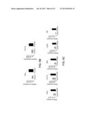 METHODS OF TREATING CEREBRAL AMYLOID ANGIOPATHY diagram and image