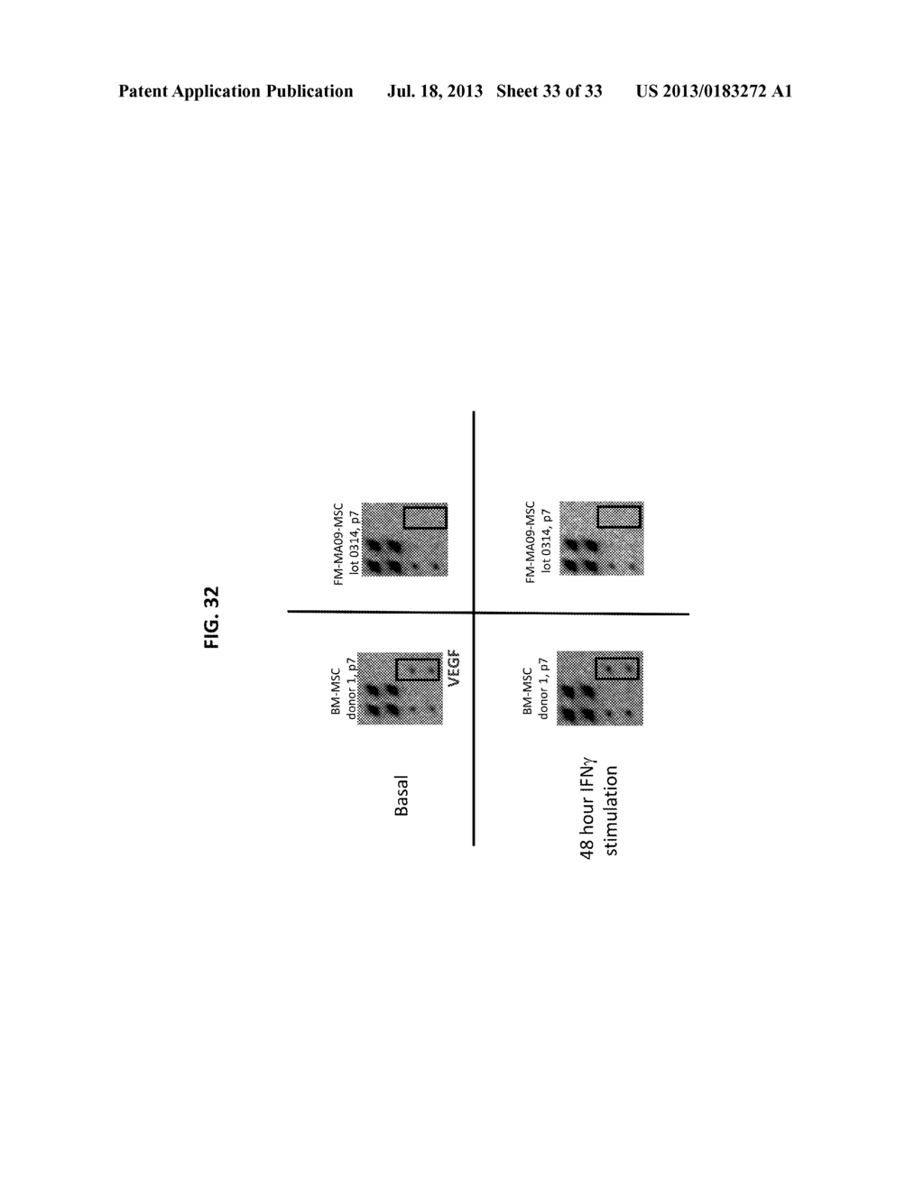 MESENCHYMAL STROMAL CELLS AND USES RELATED THERETO - diagram, schematic, and image 34