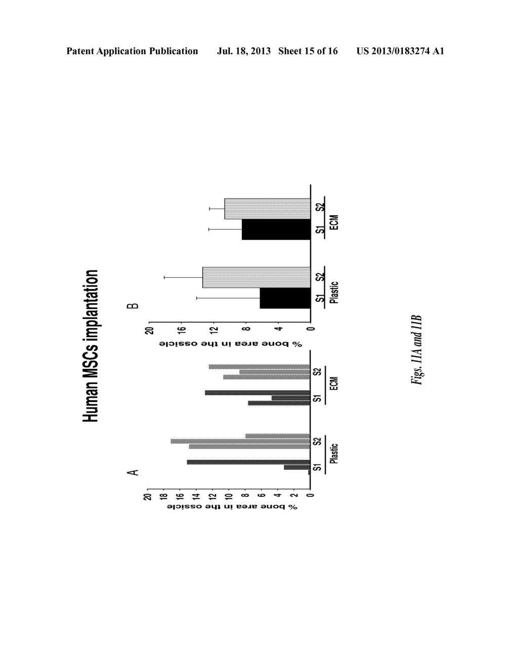 MAINTENANCE AND PROPAGATION OF MESENCHYMAL STEM CELLS - diagram, schematic, and image 16