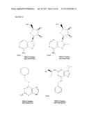 COMPOSITIONS AND METHODS FOR THE TREATMENT OF PROGRESSIVE MULTIFOCAL     LEUKOENCEPHALOPATHY (PML) diagram and image