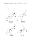 COMPOSITIONS AND METHODS FOR THE TREATMENT OF PROGRESSIVE MULTIFOCAL     LEUKOENCEPHALOPATHY (PML) diagram and image