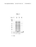 CANINE THYMIC STROMAL LYMPHOPOIETIN PROTEIN AND USES THEREOF diagram and image