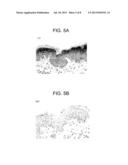 CANINE THYMIC STROMAL LYMPHOPOIETIN PROTEIN AND USES THEREOF diagram and image