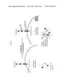 Targeted Identification of Immunogenic Peptides diagram and image