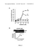 INDUCED ACTIVATION IN DENDRITIC CELLS diagram and image