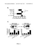 INDUCED ACTIVATION IN DENDRITIC CELLS diagram and image