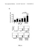 INDUCED ACTIVATION IN DENDRITIC CELLS diagram and image