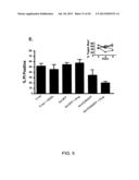 INDUCED ACTIVATION IN DENDRITIC CELLS diagram and image